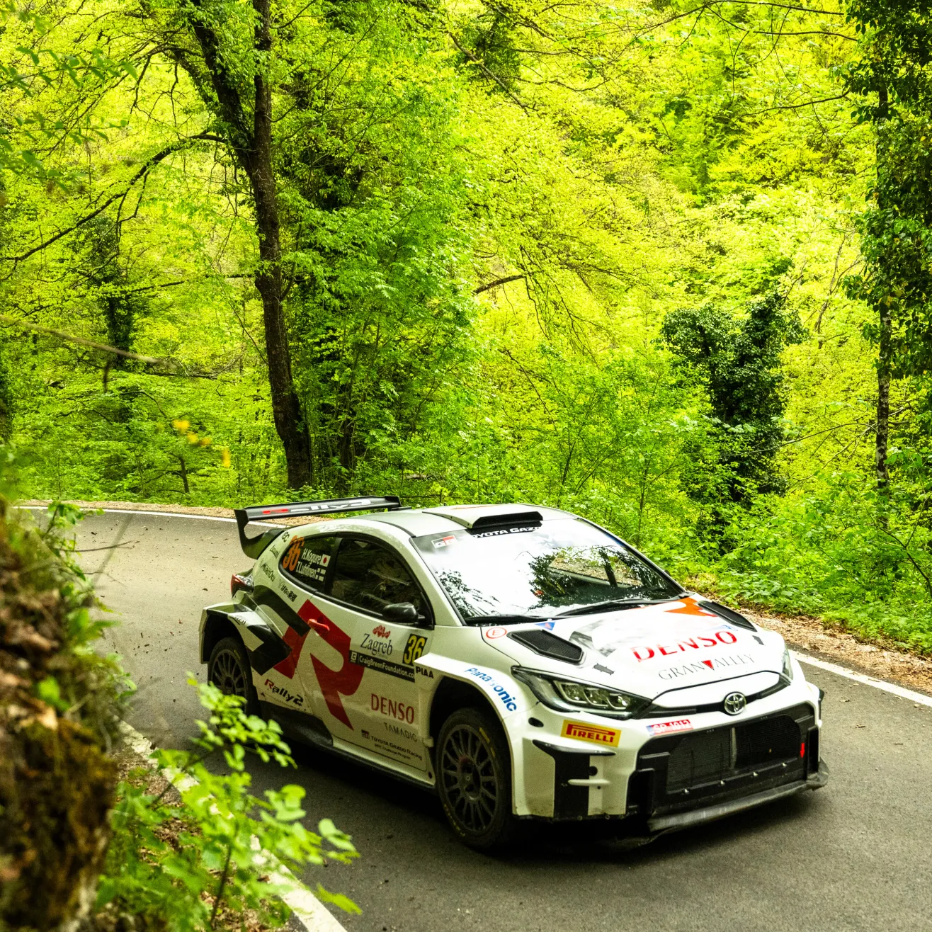 Toyota rally2