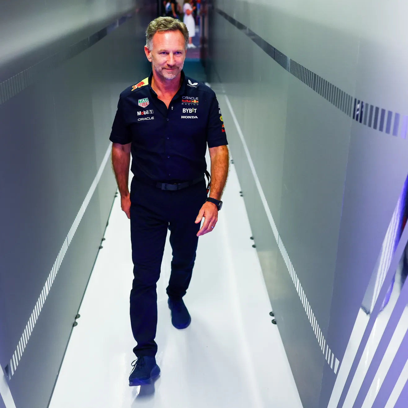 Christian Horner (Red Bull)