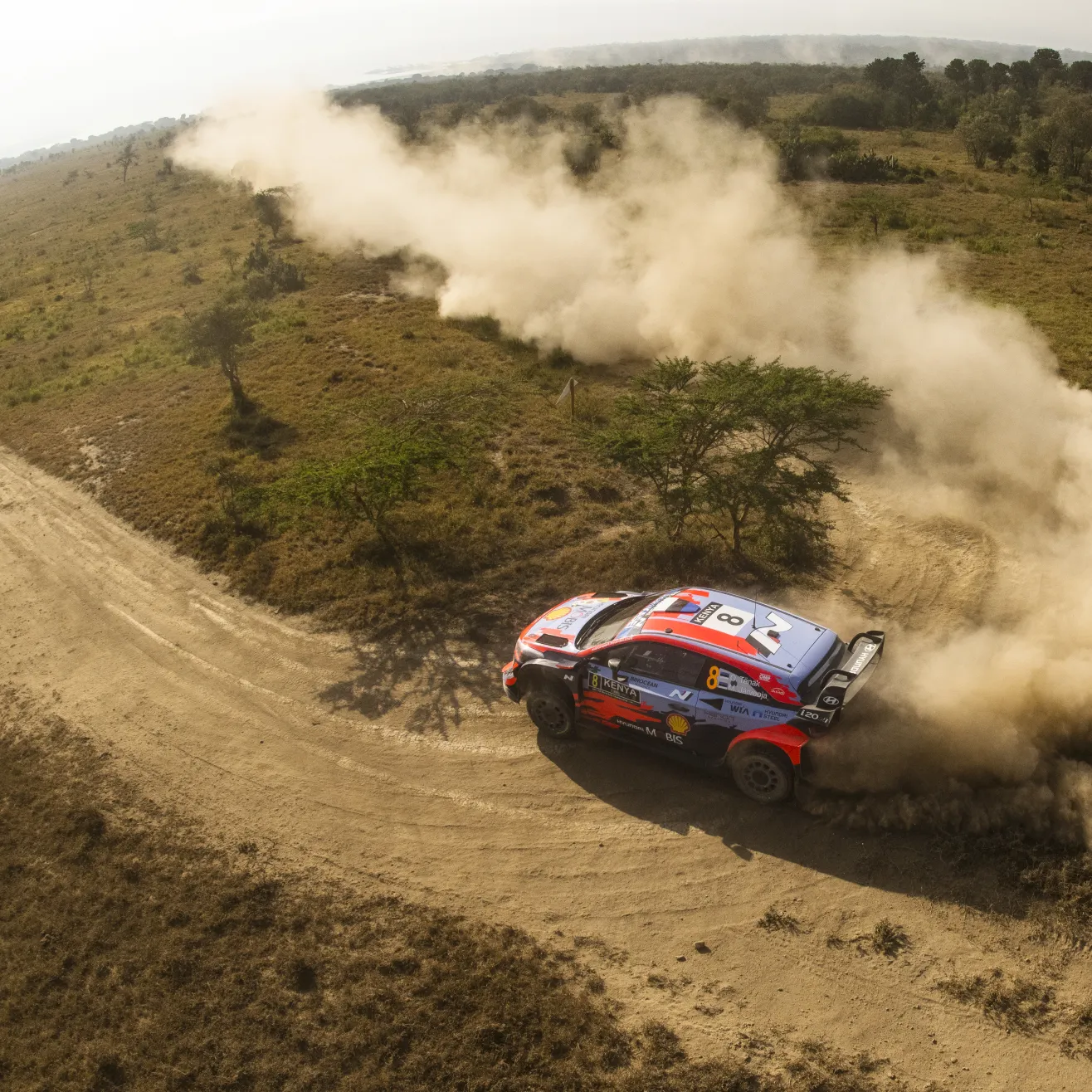 Ott Tänak Safari 2021 (Red Bull)