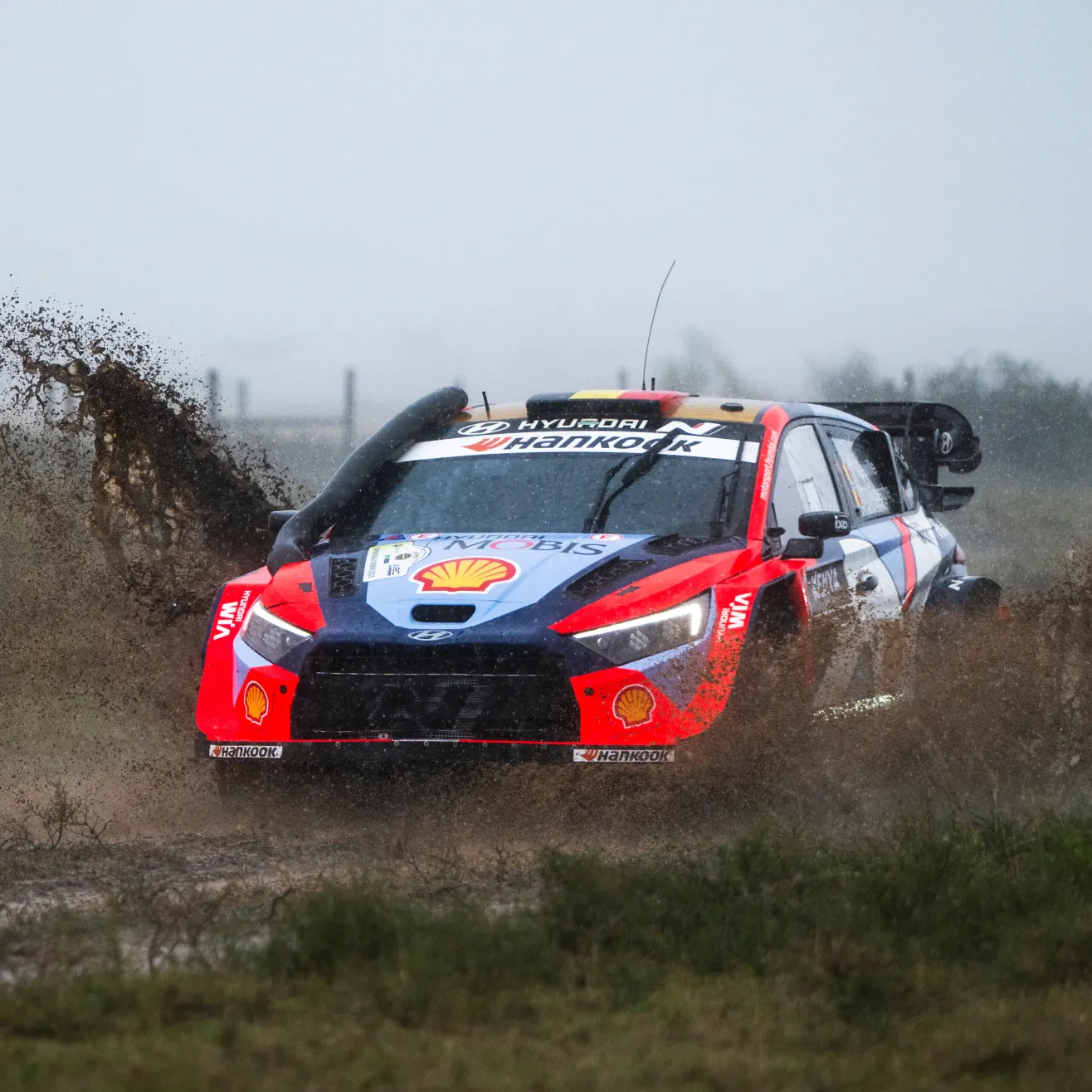 Thierry Neuville (Red Bull)