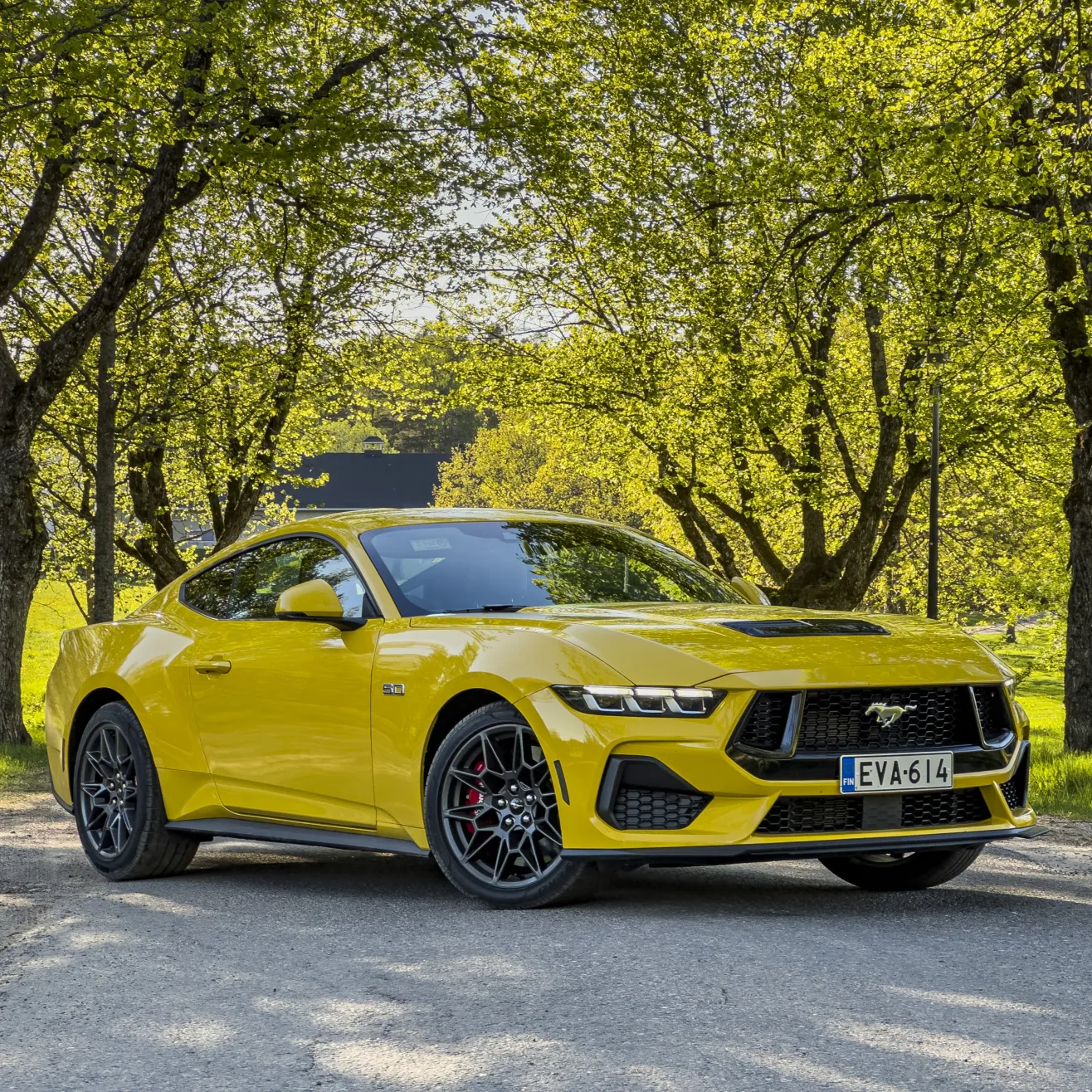 Mustang