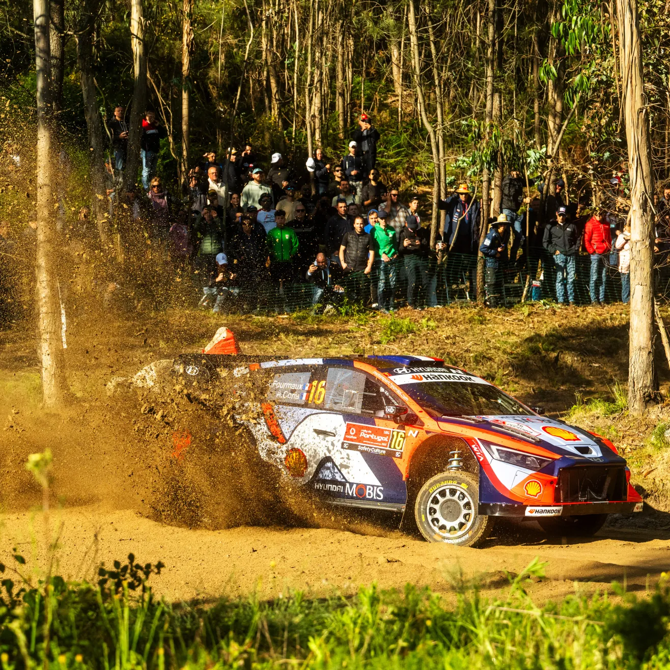 Adrien Fourmaux (Red Bull)