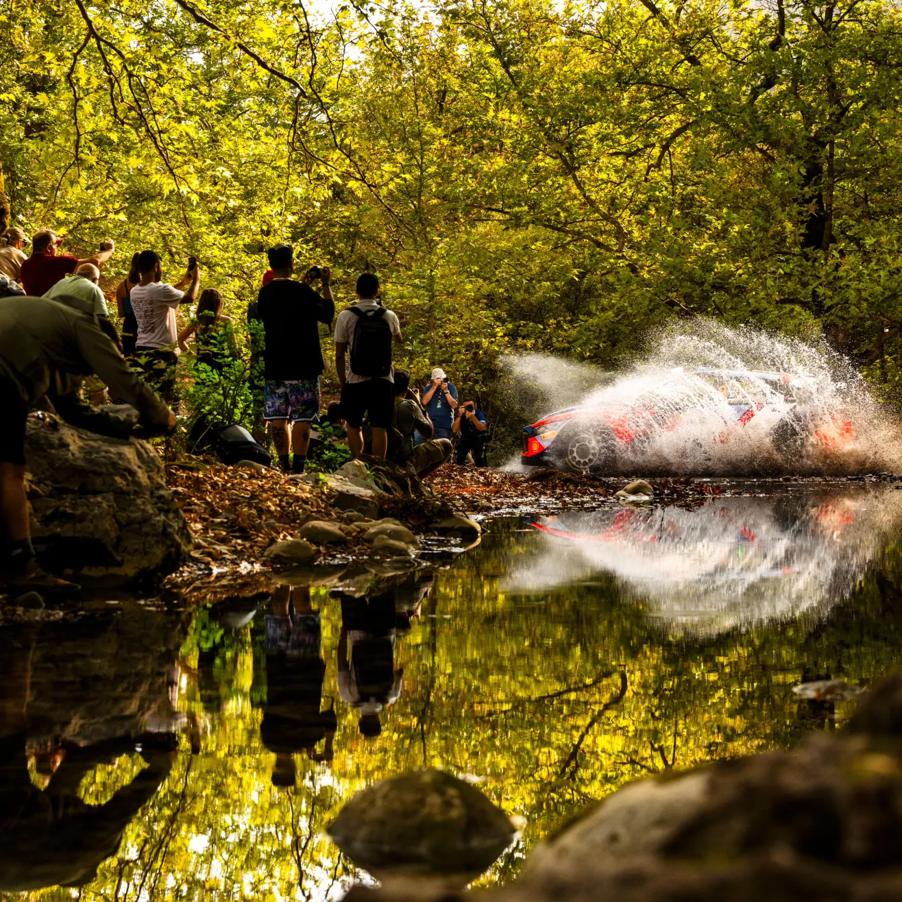 Tänak (Red Bull)