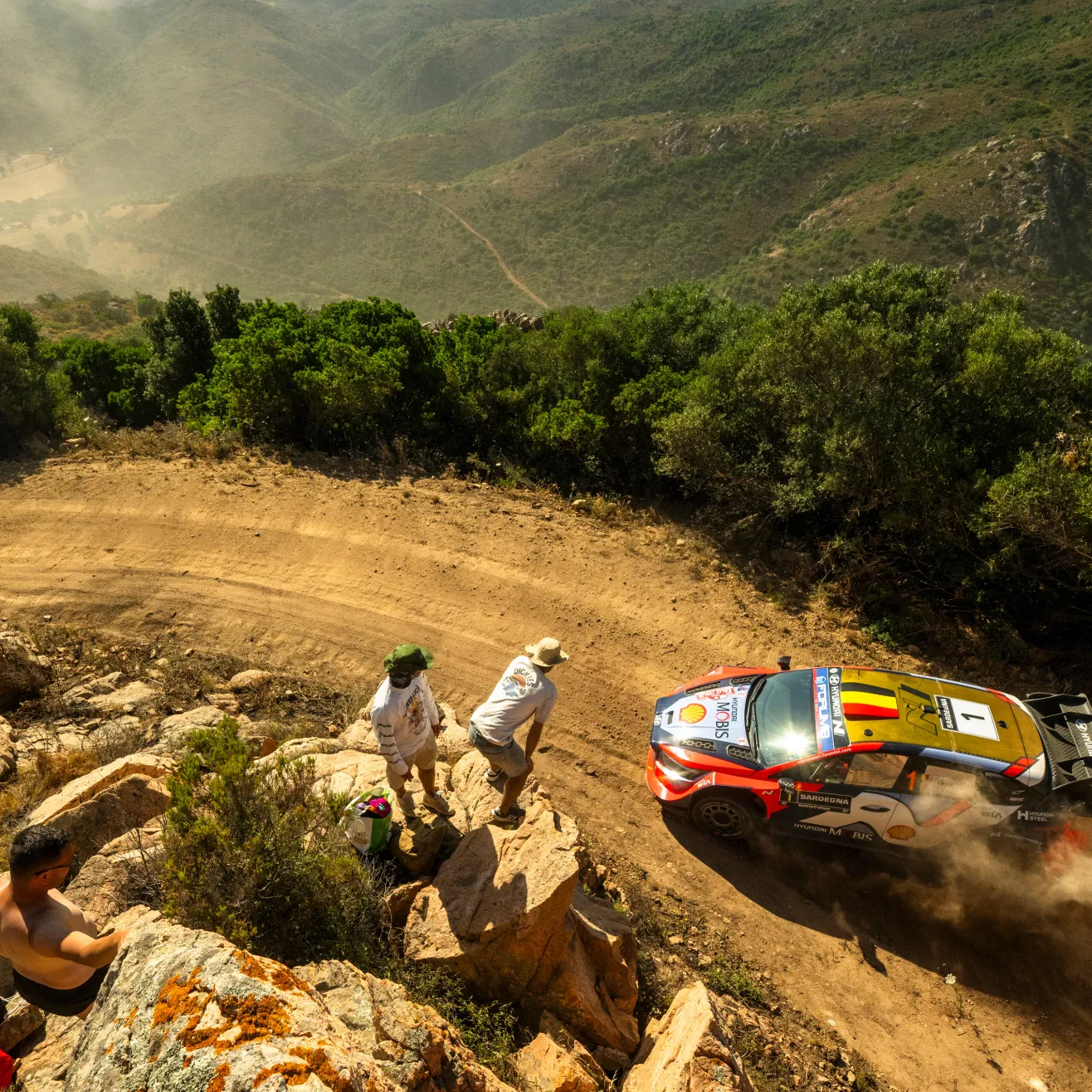 Thierry Neuville (Red Bull)