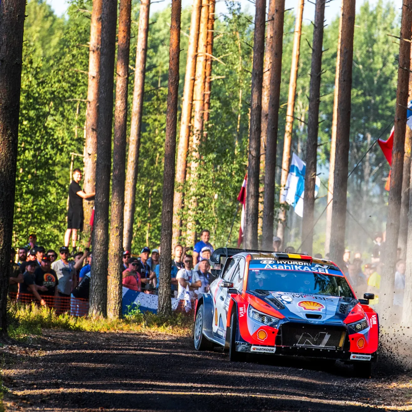 Thierry Neuville (Meita)