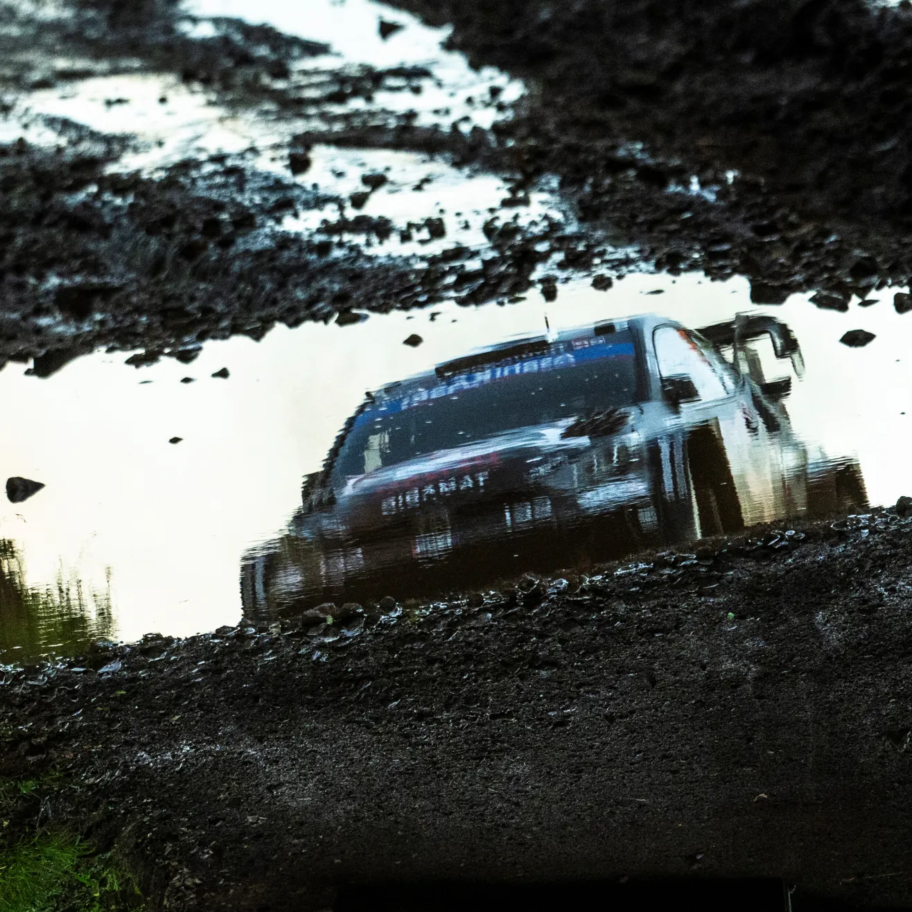 Kalle Rovanperä (Red Bull)