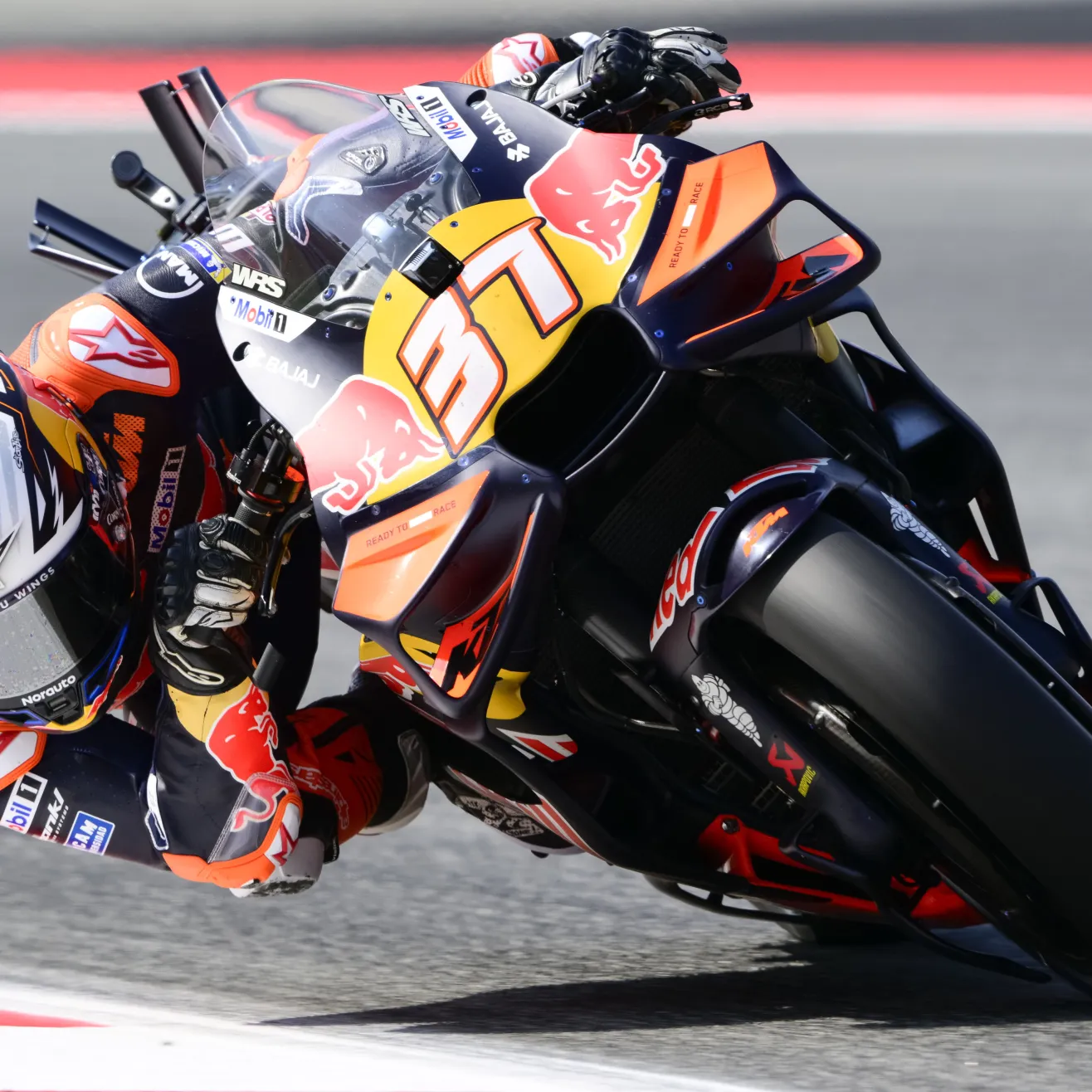 Pedro Acosta. Kuva Getty Images.