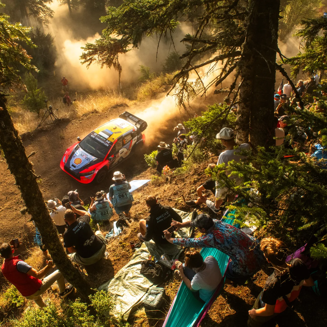 Ott Tänak (Red Bull)