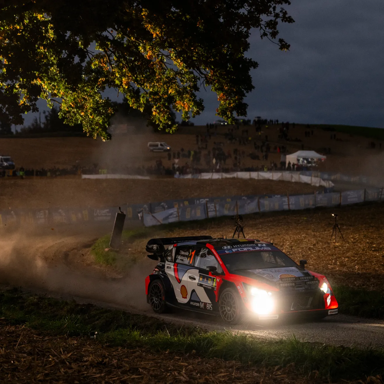 Thierry Neuville (Red Bull)