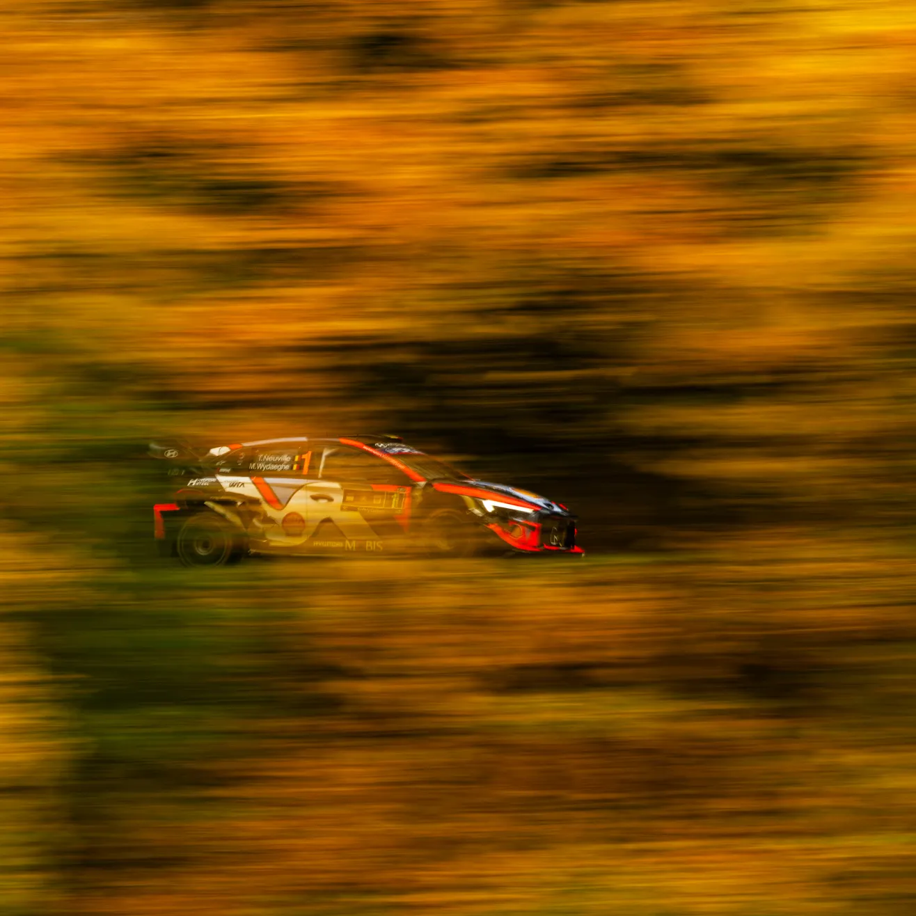 Thierry Neuville (Red Bull)
