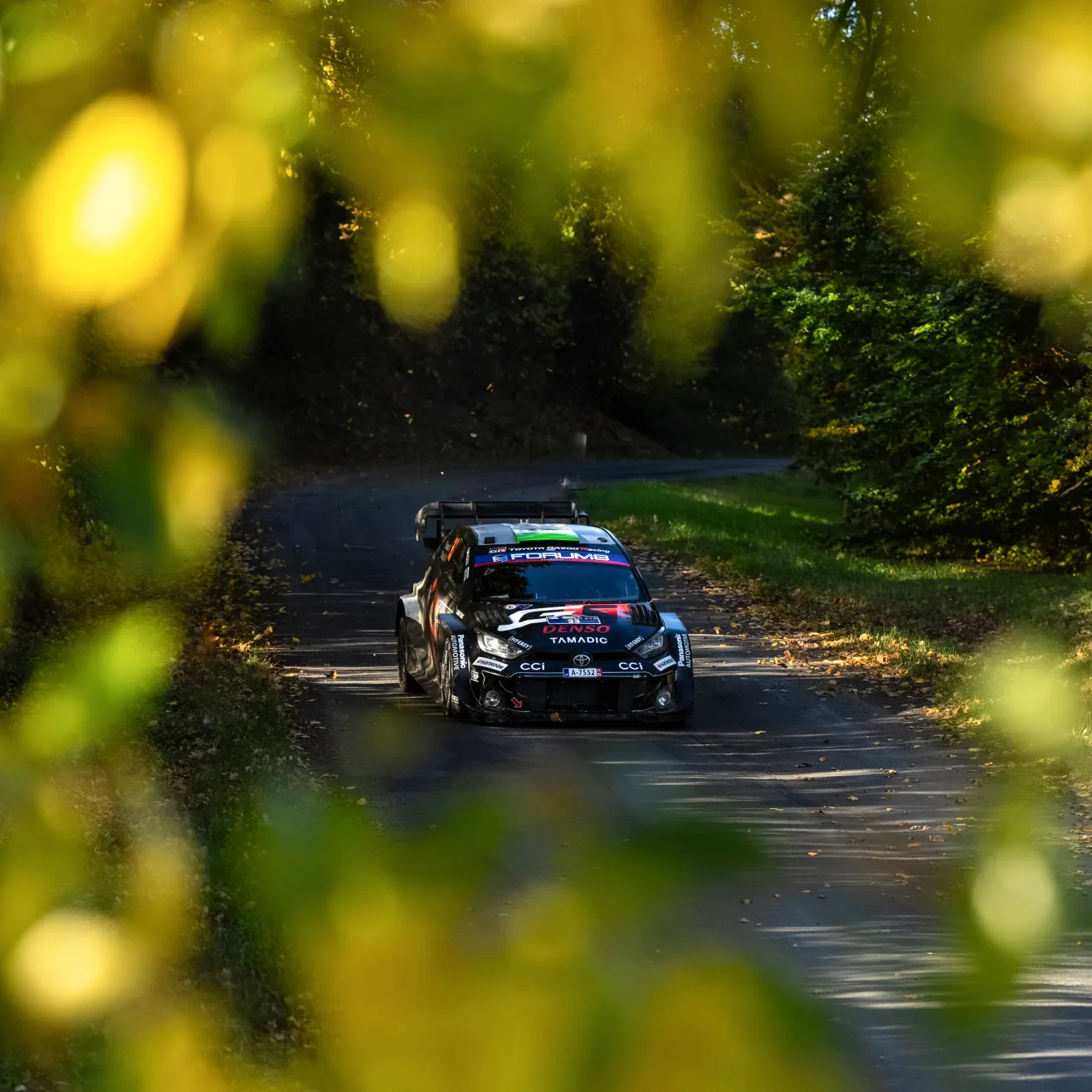 Keski-Euroopan ralli (Red Bull)