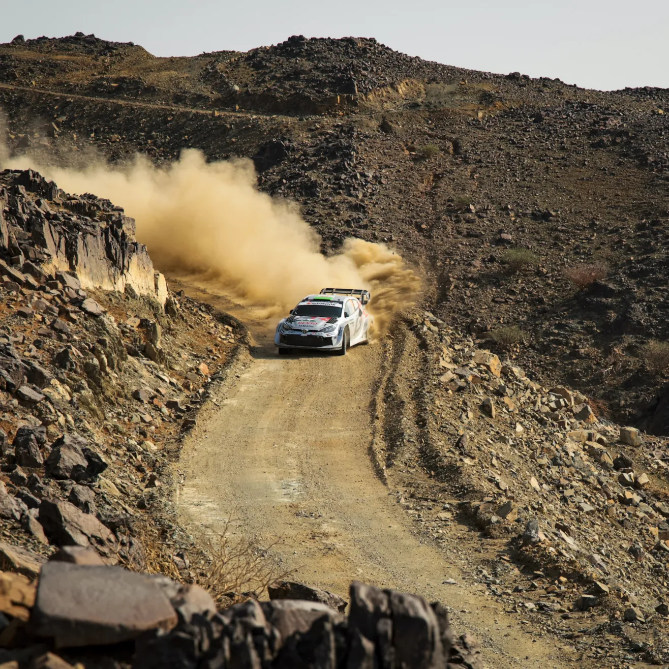 Elfyn Evans. Kuva Toyota.