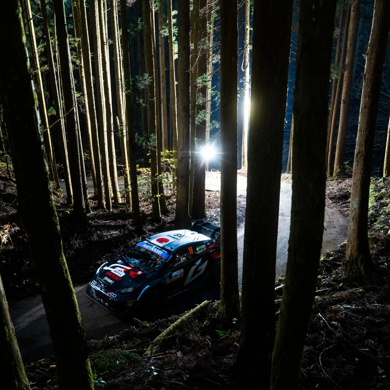 Takamoto Katsuta Kuva: Red Bull