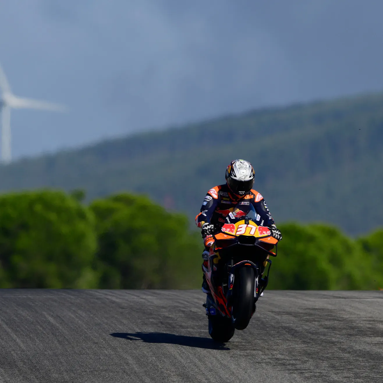 Pedro Acosta. Kuva Red Bull