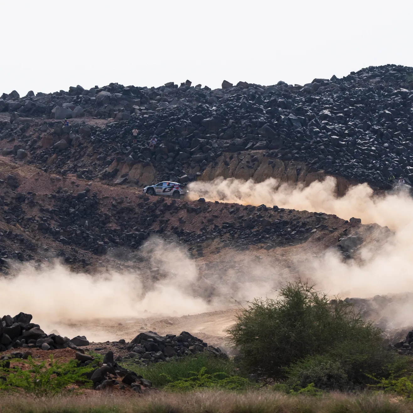 Evans Saudeissa (Red Bull)