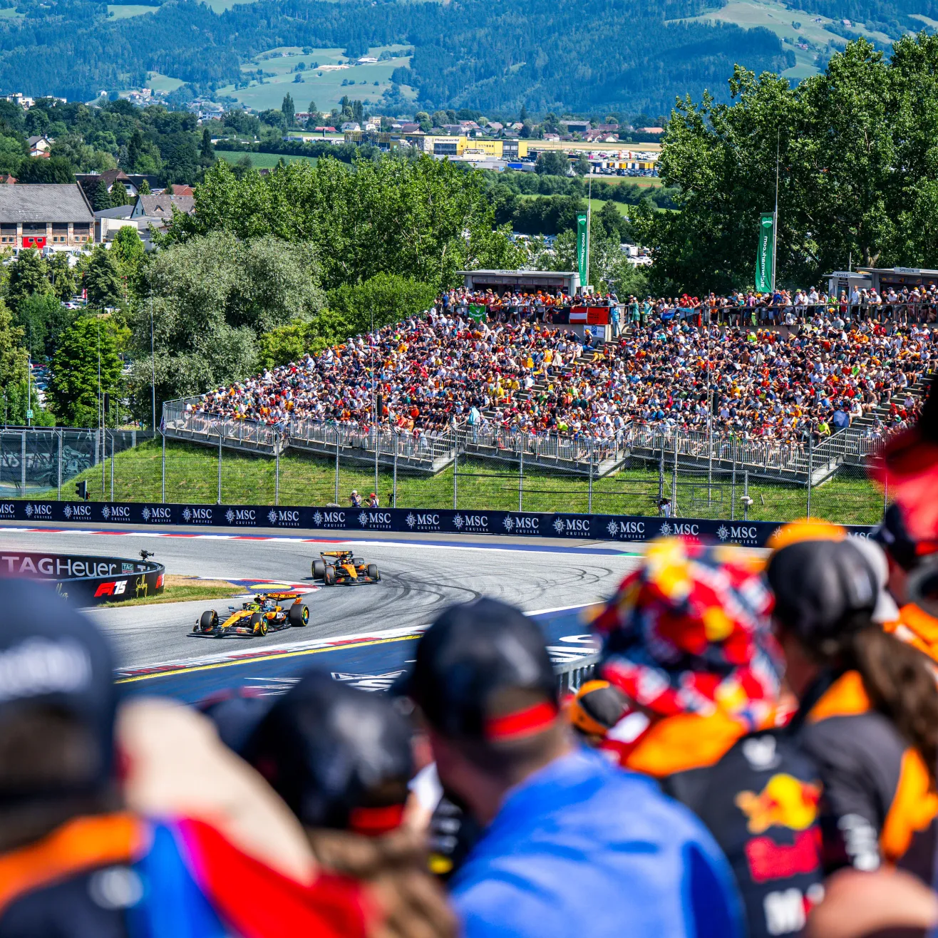 Pastri ja Norris Kuva:Red Bull