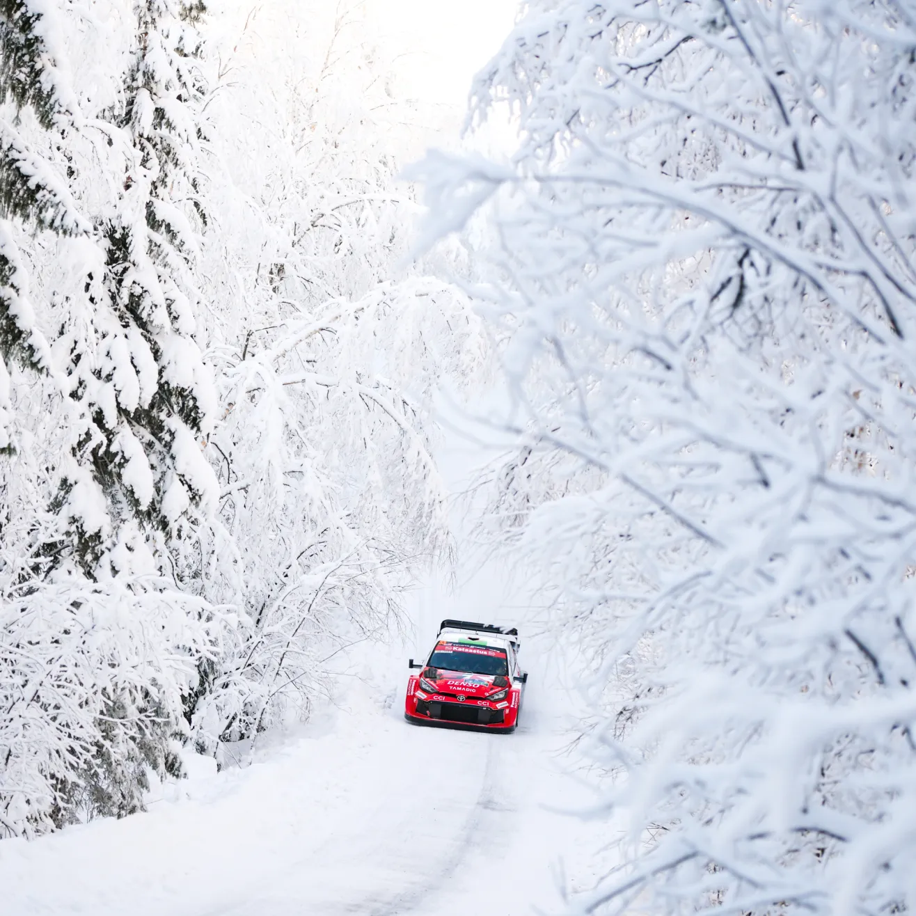 Elfyn Evans Kuva: Taneli Niinimäki