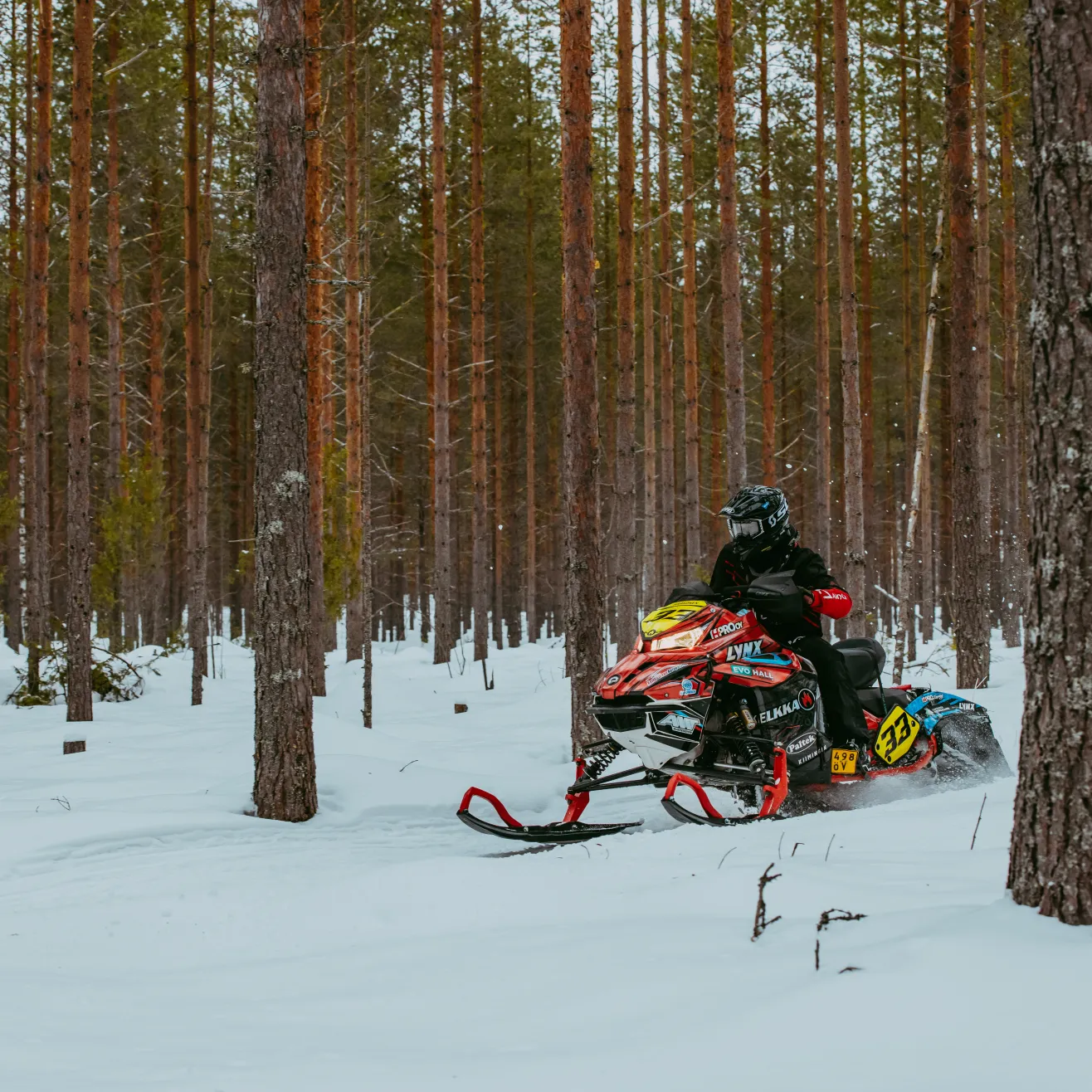 Hannu Härkönen. Kuva Milla Vahtila