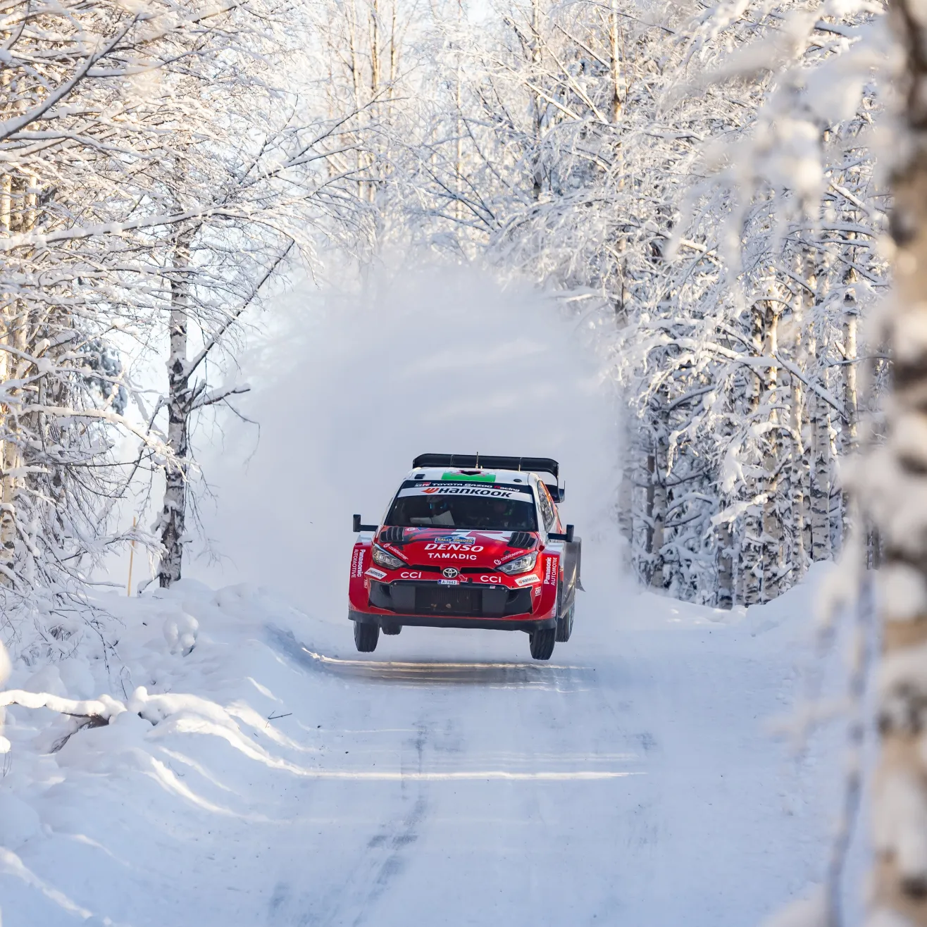 Elfyn Evans. Kuva Toyota