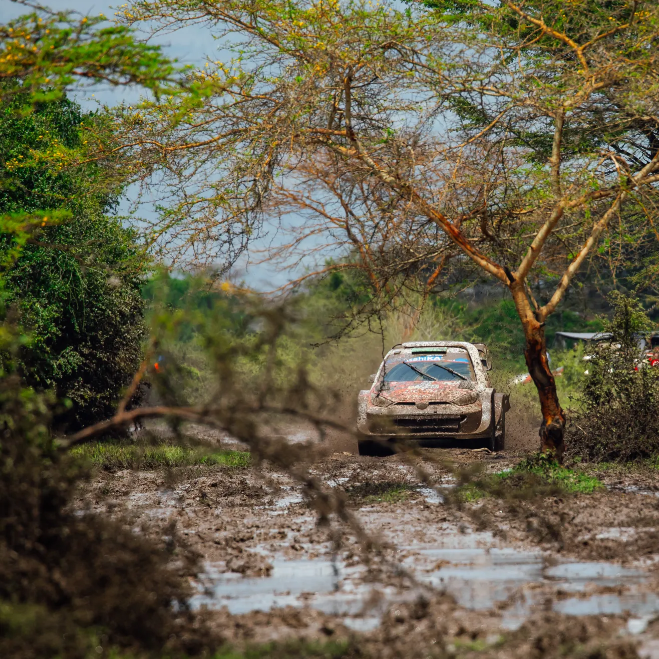 Evans. kuva Toyota Gazoo