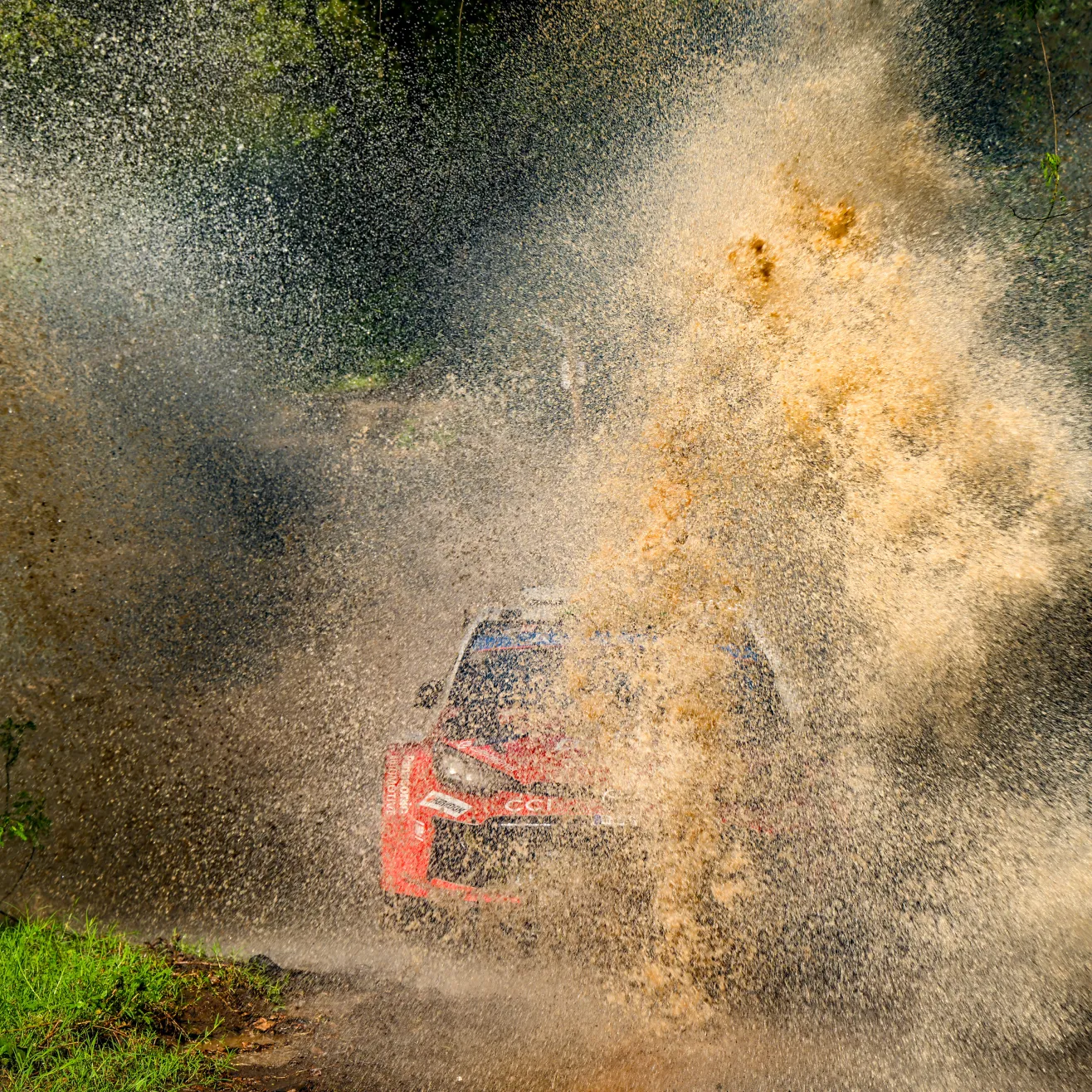 Elfyn Evans. Kuva Toyota