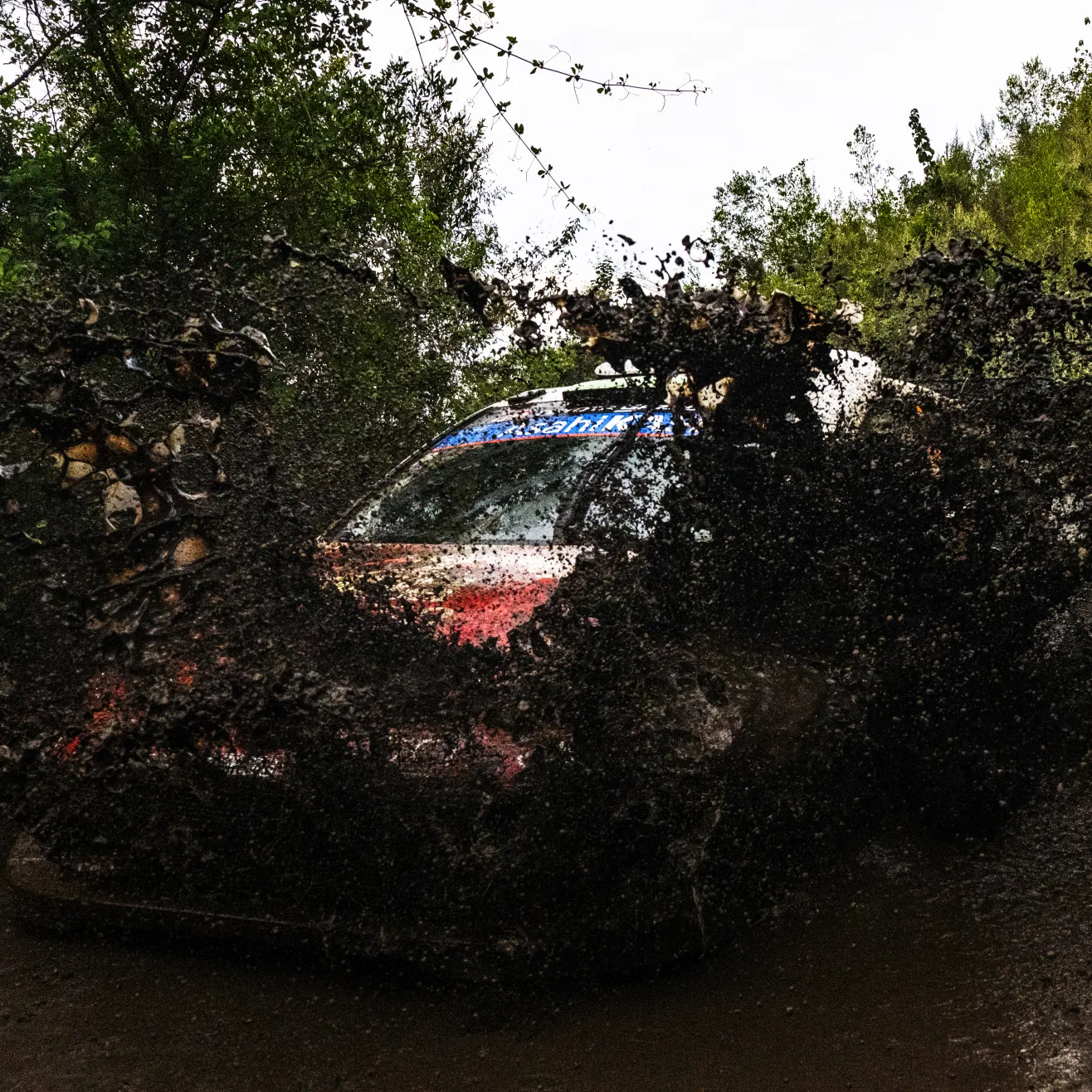 Elfyn Evans. Kuva Red Bull.