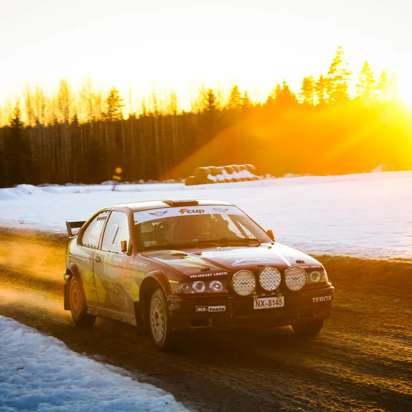 Pollari. Kuva Taneli Niinimäki