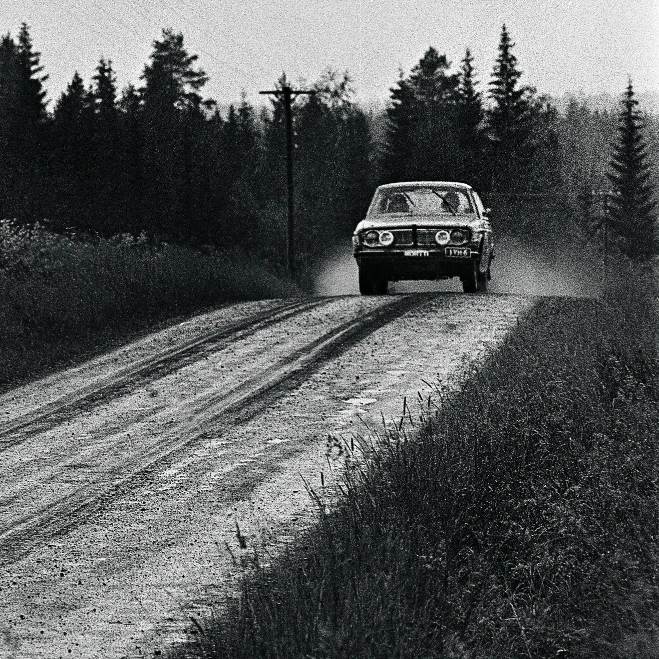 Sinkkilä. Kuva Marko Mäkinen