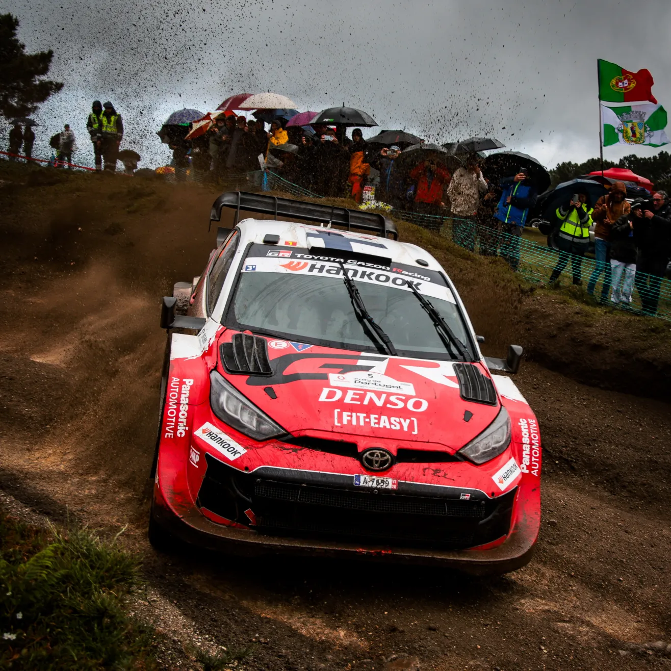 Pajari.  Kuva Toyota