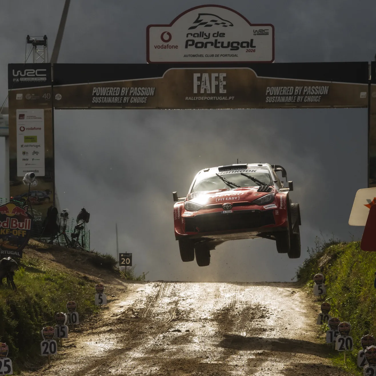 WRC. Kuva Red Bull