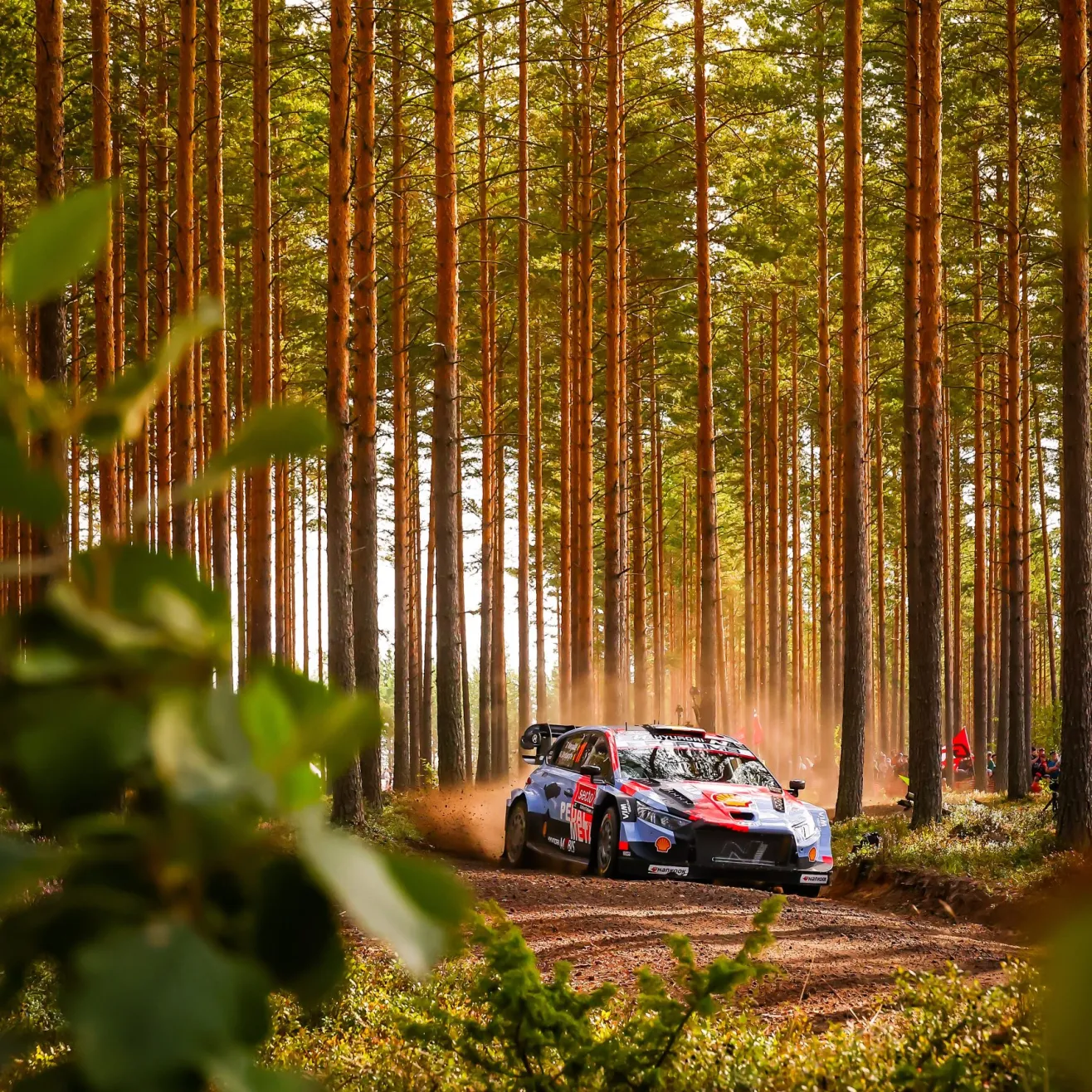 Neuville Kuva Mcklein